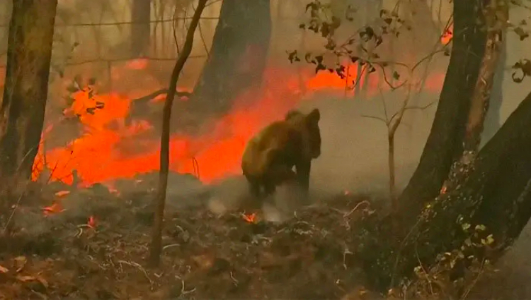 Η ιστορία του Lewis