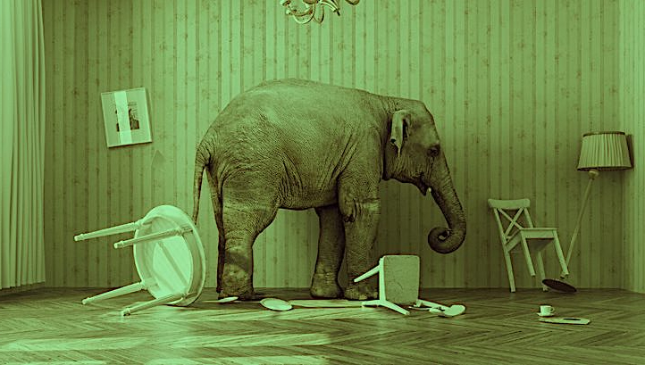 Η υπόθεση Walkup και τα χαμένα φύλλα συκής